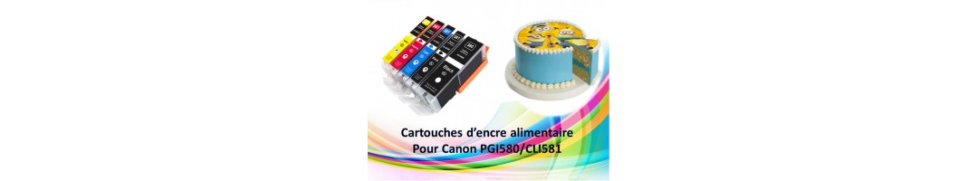 Cartouches rechargeables plus encre alimentaire PGI580/CLI581 Canon